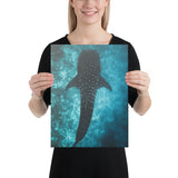 Toile Requin-Baleine - AquaRoyaume